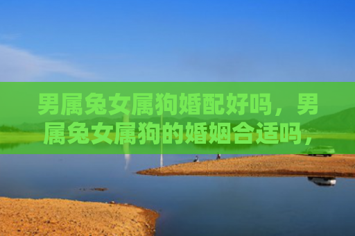男属兔女属狗婚配好吗，男属兔女属狗的婚姻合适吗，男属兔女属狗的婚姻观察