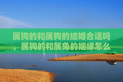 属狗的和属狗的结婚合适吗，属狗的和属兔的姻缘怎么样，属狗的和属兔的配对如何