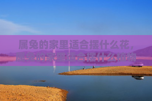 属兔的家里适合摆什么花，属兔的家里适合摆什么植物