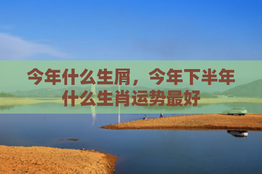 今年什么生屑，今年下半年什么生肖运势最好