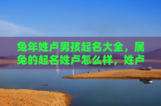 兔年姓卢男孩起名大全，属兔的起名姓卢怎么样，姓卢的兔子该起什么名字