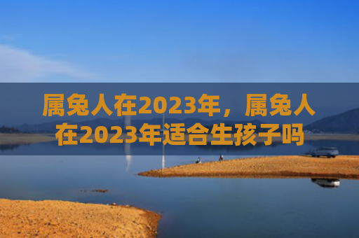 属兔人在2023年，属兔人在2023年适合生孩子吗