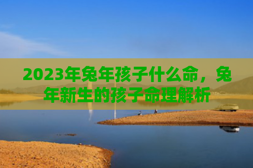 2023年兔年孩子什么命，兔年新生的孩子命理解析