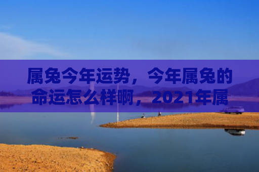 属兔今年运势，今年属兔的命运怎么样啊，2021年属兔人运势大解析