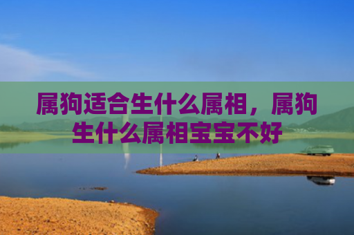 属狗适合生什么属相，属狗生什么属相宝宝不好