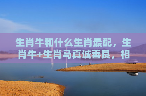 生肖牛和什么生肖最配，生肖牛+生肖马真诚善良，相互托付