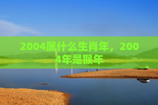 2004属什么生肖年，2004年是猴年