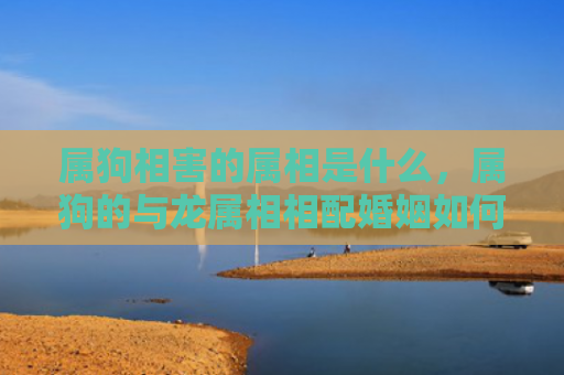 属狗相害的属相是什么，属狗的与龙属相相配婚姻如何