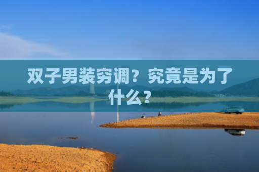 双子男装穷调？究竟是为了什么？