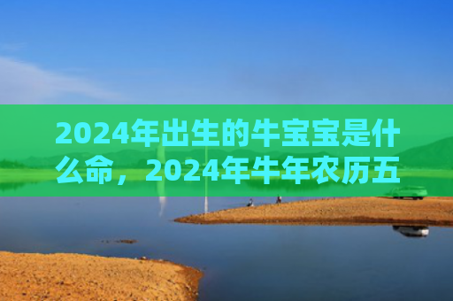 2024年出生的牛宝宝是什么命，2024年牛年农历五月初六可以提车吗