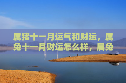 属猪十一月运气和财运，属兔十一月财运怎么样，属兔的人11月份财运如何