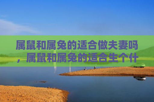 属鼠和属兔的适合做夫妻吗，属鼠和属兔的适合生个什么属相宝宝