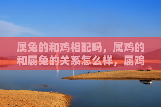 属兔的和鸡相配吗，属鸡的和属兔的关系怎么样，属鸡和属兔的交情