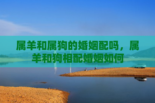 属羊和属狗的婚姻配吗，属羊和狗相配婚姻如何