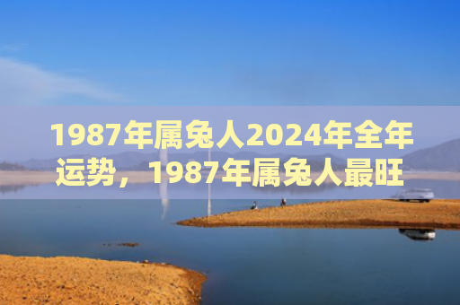 1987年属兔人2024年全年运势，1987年属兔人最旺的年龄