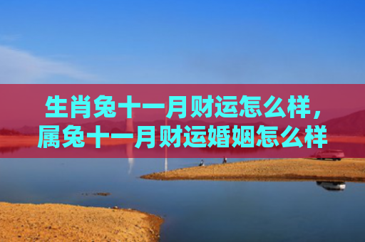 生肖兔十一月财运怎么样，属兔十一月财运婚姻怎么样，属兔人11月份的财运和婚姻状况