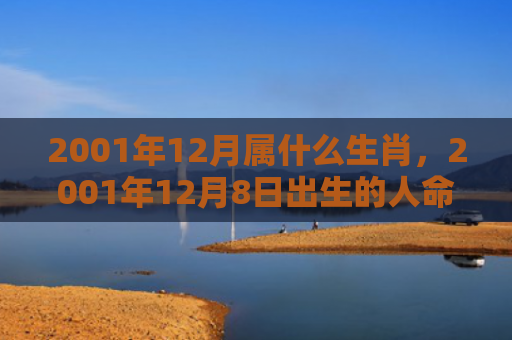 2001年12月属什么生肖，2001年12月8日出生的人命好吗