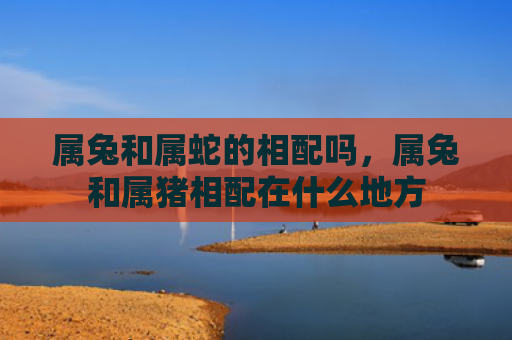 属兔和属蛇的相配吗，属兔和属猪相配在什么地方