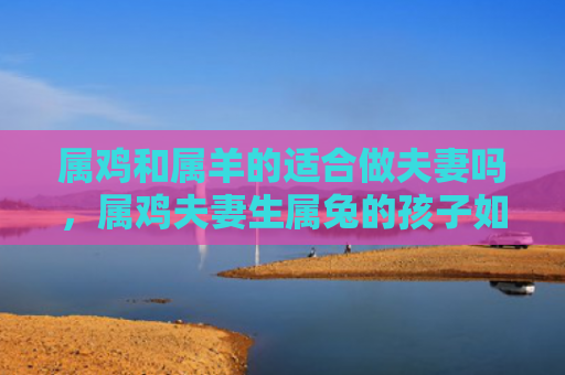 属鸡和属羊的适合做夫妻吗，属鸡夫妻生属兔的孩子如何培养独立自主的个性，属鸡夫妻生属兔的孩子特点及育儿技巧