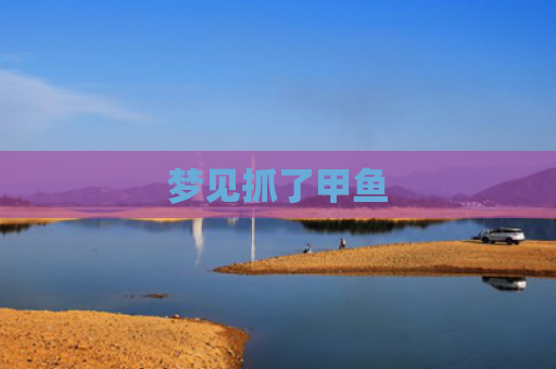 梦见抓了甲鱼