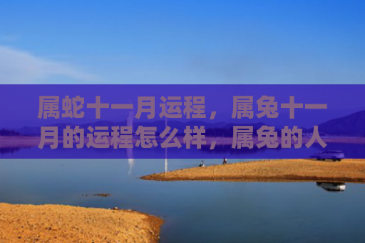 属蛇十一月运程，属兔十一月的运程怎么样，属兔的人即将迎来十一月的运程