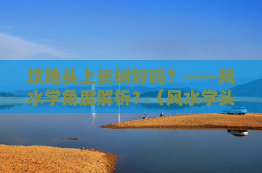 坟地头上长树好吗？——风水学角度解析？（风水学头上长坟地）