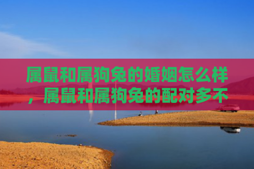 属鼠和属狗兔的婚姻怎么样，属鼠和属狗兔的配对多不多见