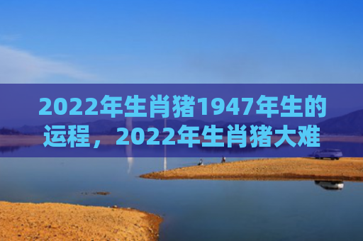 2022年生肖猪1947年生的运程，2022年生肖猪大难已过