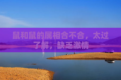 鼠和鼠的属相合不合，太过了解，缺乏激情