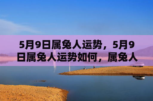 5月9日属兔人运势，5月9日属兔人运势如何，属兔人在5月9日的运势分析