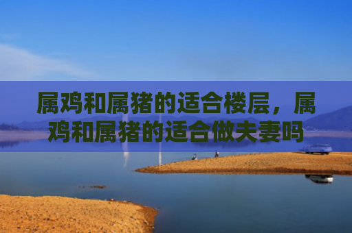 属鸡和属猪的适合楼层，属鸡和属猪的适合做夫妻吗