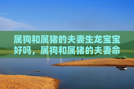 属狗和属猪的夫妻生龙宝宝好吗，属狗和属猪的夫妻命运如何