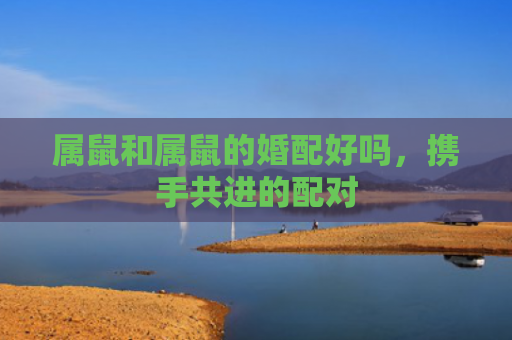 属鼠和属鼠的婚配好吗，携手共进的配对