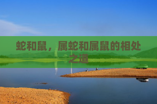 蛇和鼠，属蛇和属鼠的相处之道