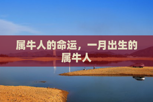 属牛人的命运，一月出生的属牛人
