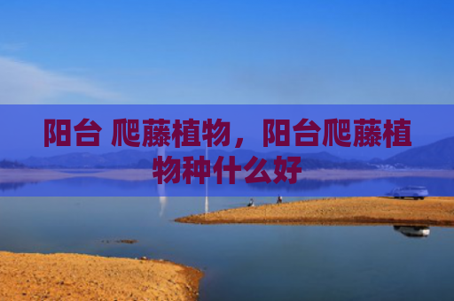 阳台 爬藤植物，阳台爬藤植物种什么好