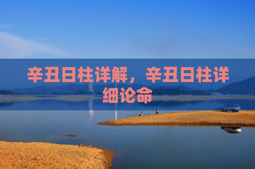 辛丑日柱详解，辛丑日柱详细论命