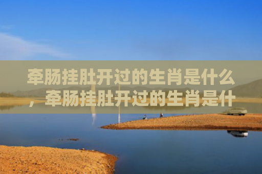 牵肠挂肚开过的生肖是什么，牵肠挂肚开过的生肖是什么