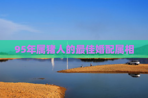 95年属猪人的最佳婚配属相