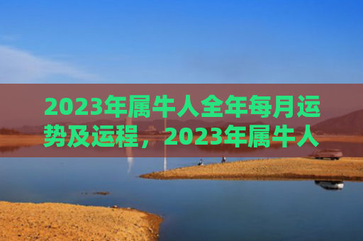2023年属牛人全年每月运势及运程，2023年属牛人如何提升财运