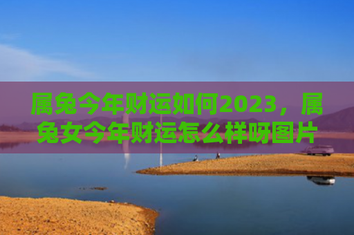属兔今年财运如何2023，属兔女今年财运怎么样呀图片，属兔女的今年财运会如何