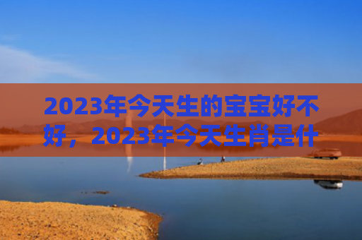 2023年今天生的宝宝好不好，2023年今天生肖是什么属相