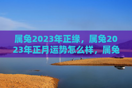 属兔2023年正缘，属兔2023年正月运势怎么样，属兔人在2023年正月的运势展望