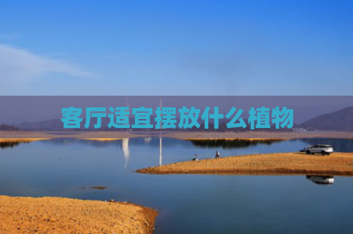 客厅适宜摆放什么植物