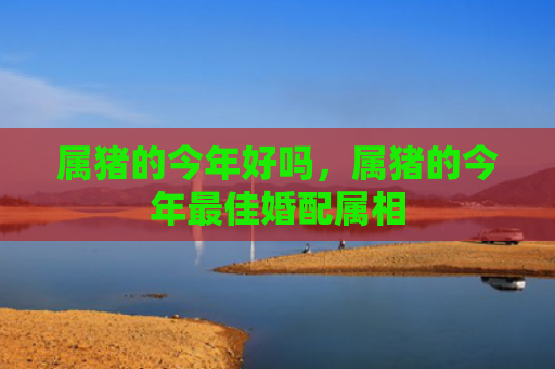 属猪的今年好吗，属猪的今年最佳婚配属相