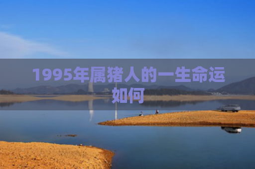 1995年属猪人的一生命运如何