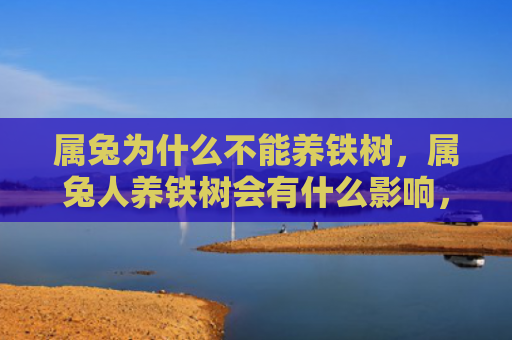 属兔为什么不能养铁树，属兔人养铁树会有什么影响，铁树是兔子的吉祥植物