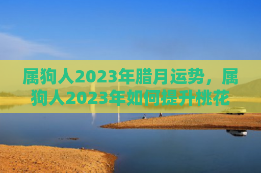 属狗人2023年腊月运势，属狗人2023年如何提升桃花运