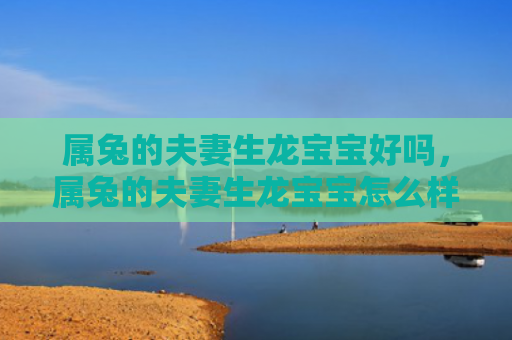 属兔的夫妻生龙宝宝好吗，属兔的夫妻生龙宝宝怎么样，属兔的夫妻生龙宝宝的机率有多大