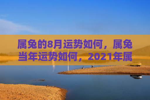 属兔的8月运势如何，属兔当年运势如何，2021年属兔的运势分析